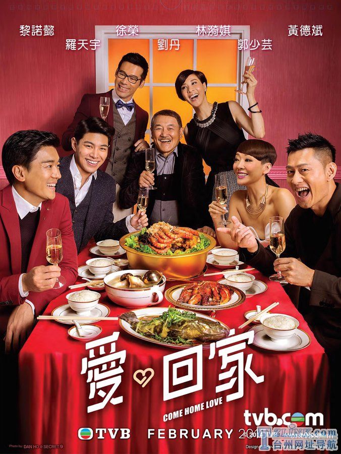 ���TVB2015��������������缯